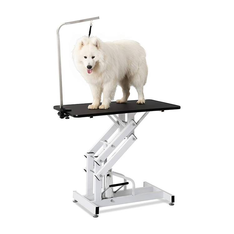 Elevating Pet Grooming: The Black Hydraulic Grooming Table with Noose