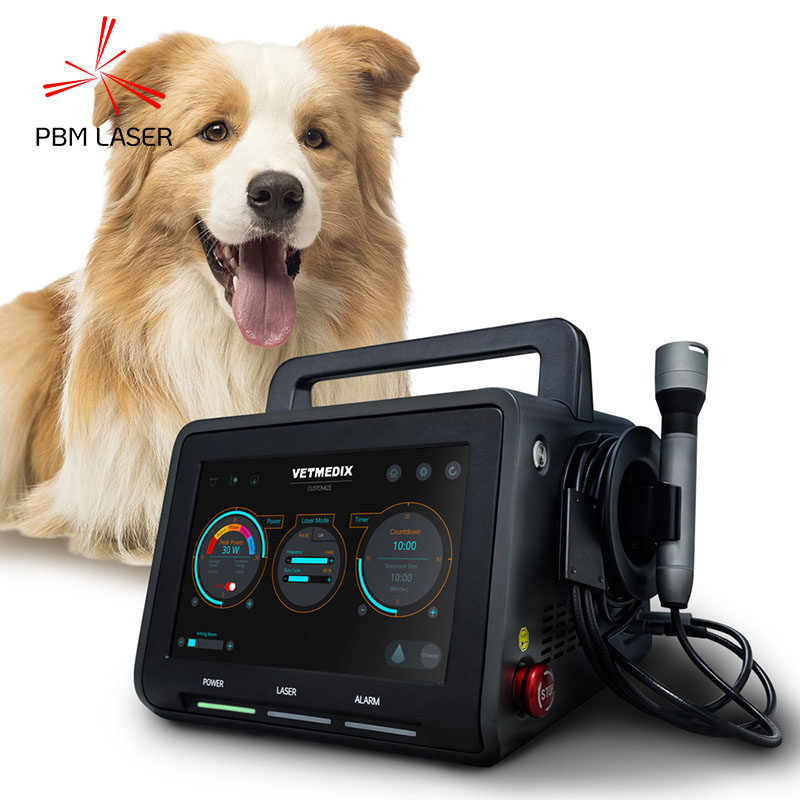Principles of Veterinary Laser Therapy