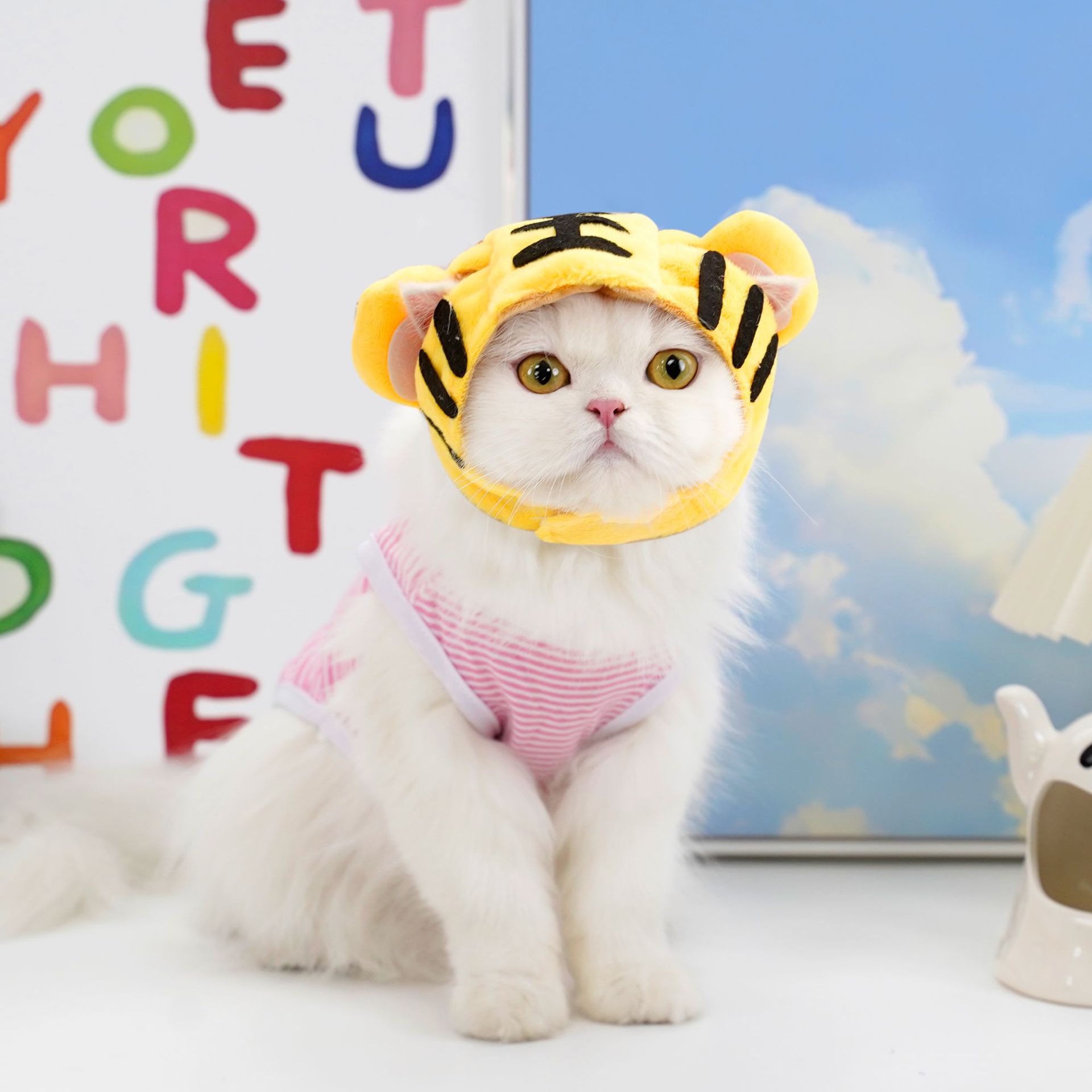 How Can Pet Decorations Enhance Your Furry Friend’s Life?