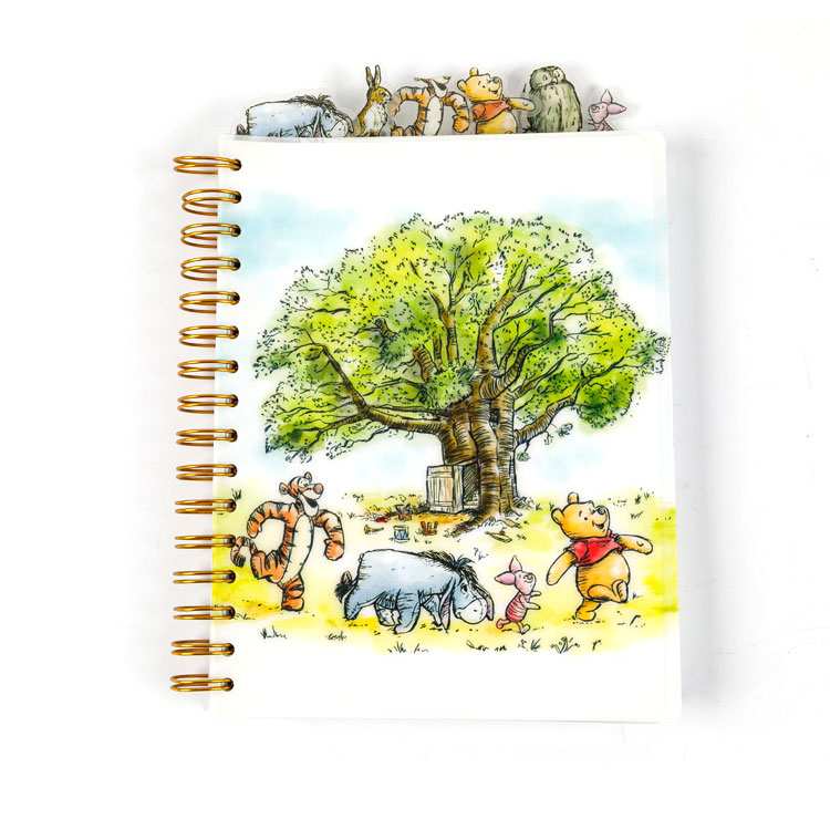 The Importance of Notebooks: A Simple Tool for Big Ideas
